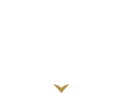 Brodia